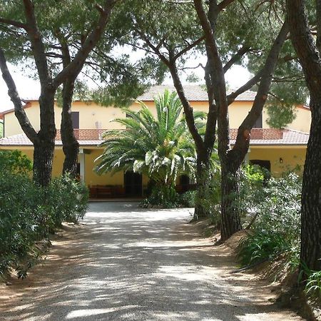 Podere Oslavia Az.Agr.Bio Giannini Альберезе Экстерьер фото