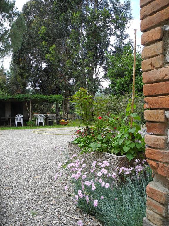 Podere Oslavia Az.Agr.Bio Giannini Альберезе Экстерьер фото