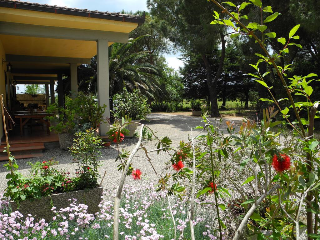 Podere Oslavia Az.Agr.Bio Giannini Альберезе Экстерьер фото